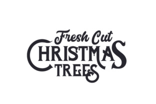Fresh Cut Christmas Trees for Creative Crafts