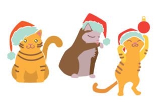 Review: Cat with Christmas Hat Design Set for Crafts